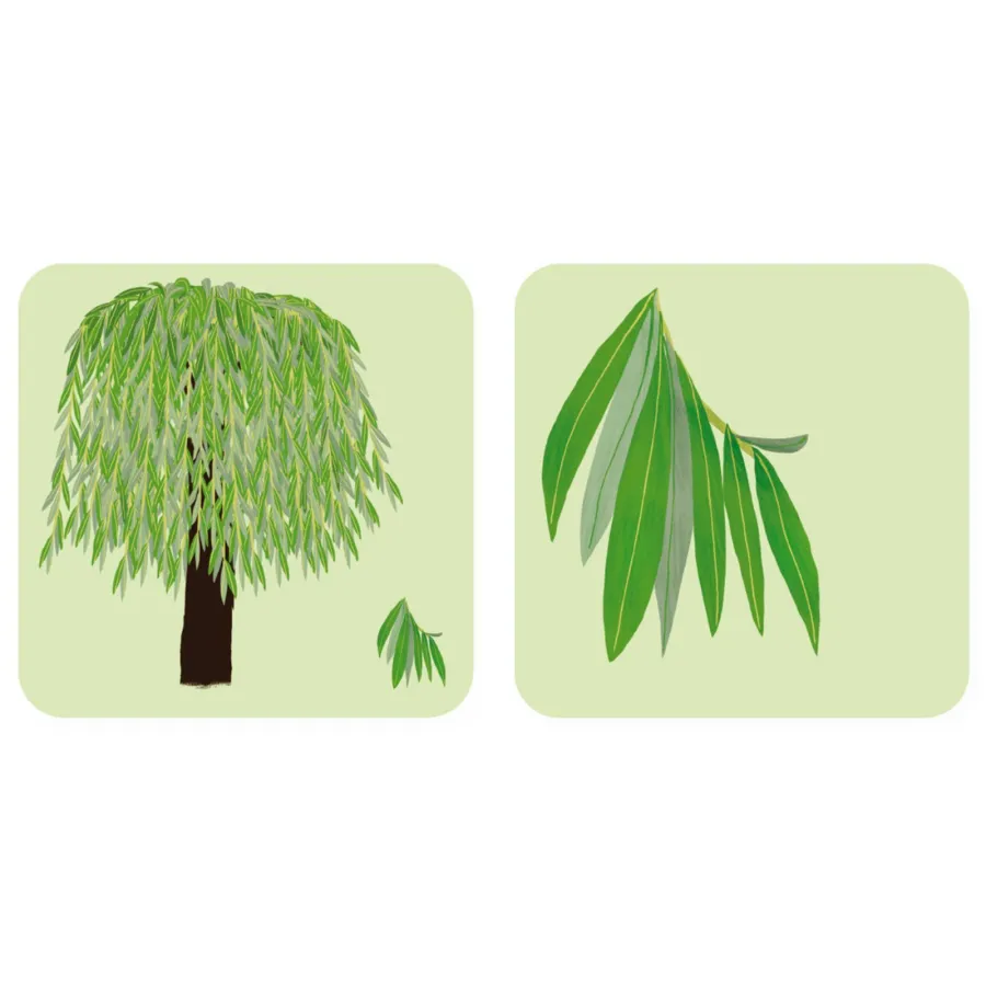 Jeu - Mémory pour enfants - l'Arbre et sa Feuille - Pirouette Cacahouète