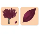 Jeu - Mémory pour enfants - l'Arbre et sa Feuille - Pirouette Cacahouète