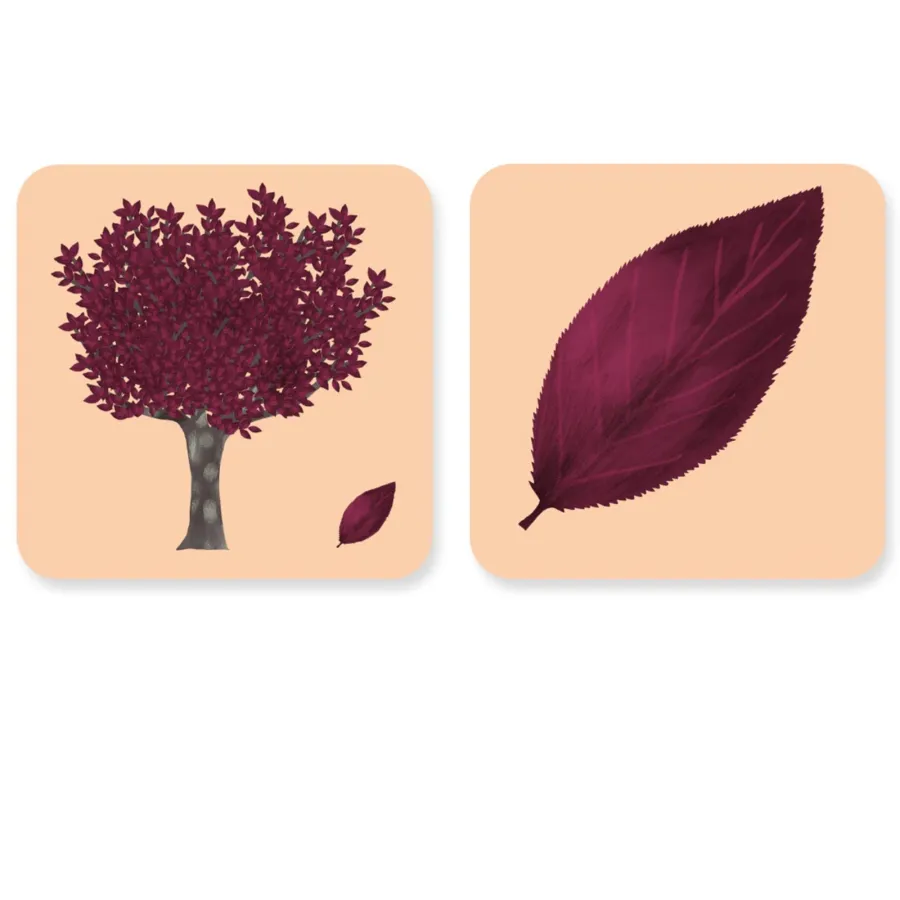 Jeu - Mémory pour enfants - l'Arbre et sa Feuille - Pirouette Cacahouète