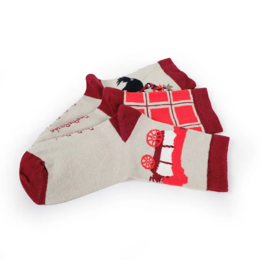 Lot de 3 chaussettes - Despasrayés