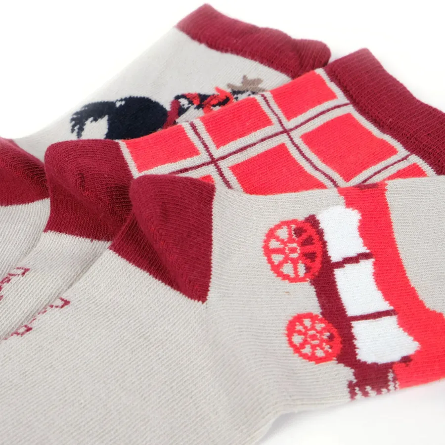 Lot de 3 chaussettes - Despasrayés