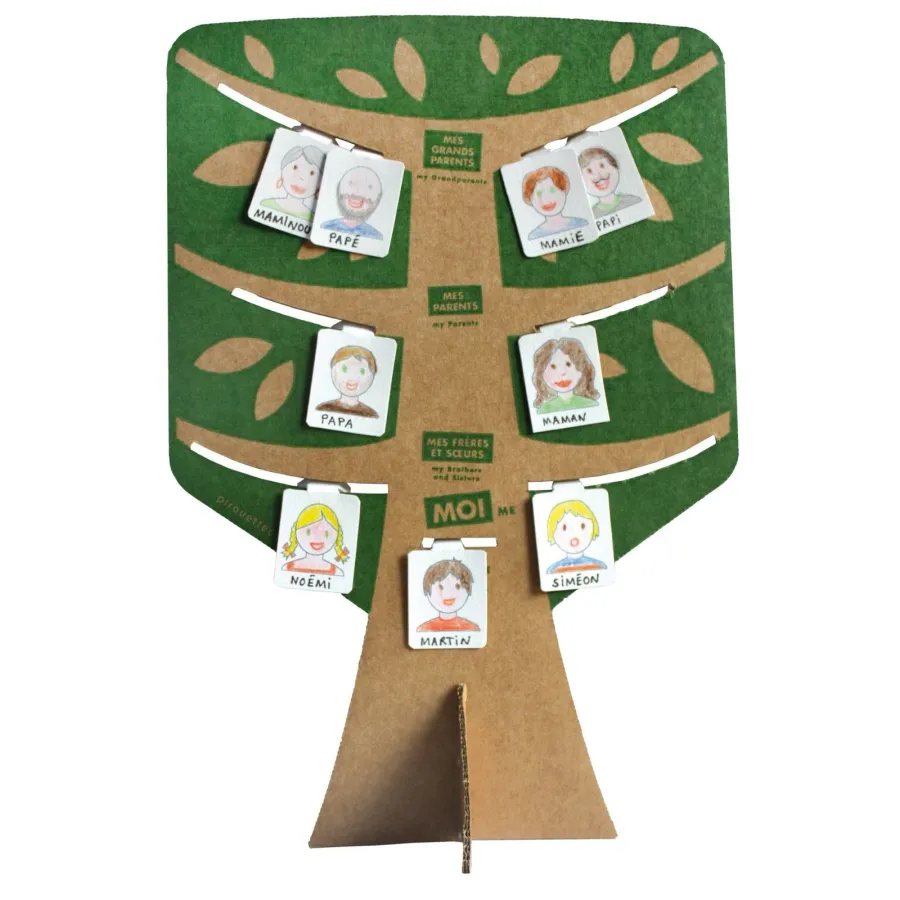 Kit créatif - 1 Arbre généalogique à construire - Pirouette Cacahouète
