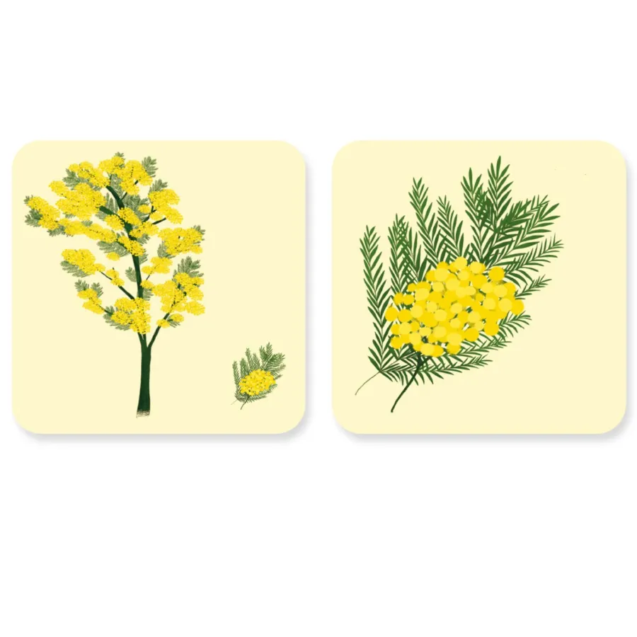 Jeu - Mémory pour enfants - l'Arbre et sa Feuille - Pirouette Cacahouète
