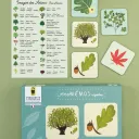 Jeu - Mémory pour enfants - l'Arbre et sa Feuille - Pirouette Cacahouète