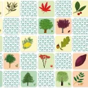 Jeu - Mémory pour enfants - l'Arbre et sa Feuille - Pirouette Cacahouète