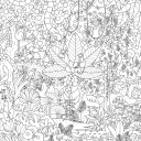 Poster géant à colorier - La jungle - Pirouette Cacahouète