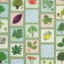 Jeu - Mémory pour enfants - l'Arbre et sa Feuille - Pirouette Cacahouète