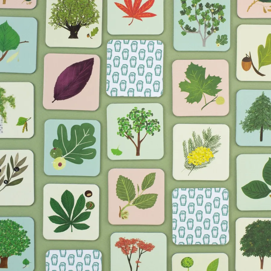 Jeu - Mémory pour enfants - l'Arbre et sa Feuille - Pirouette Cacahouète