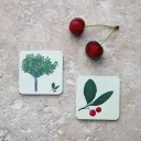 Jeu - Mémory pour enfants - l'Arbre et sa Feuille - Pirouette Cacahouète