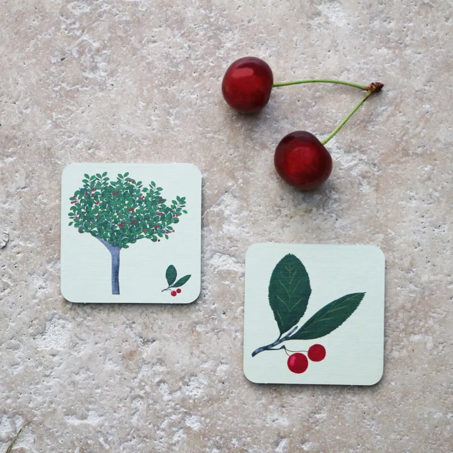 Jeu - Mémory pour enfants - l'Arbre et sa Feuille - Pirouette Cacahouète
