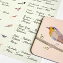 Jeu - Mémory pour enfants - L'Oiseau et sa Plume - Pirouette Cacahouète