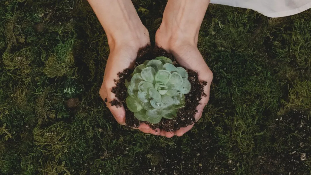 10 gestes à faire au quotidien pour aider la planète !