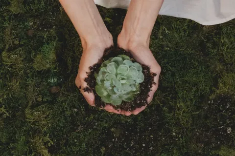 10 gestes à faire au quotidien pour aider la planète !