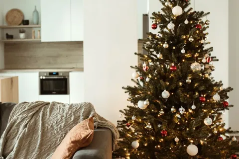 Sapin de Noël naturel ou artificiel ?