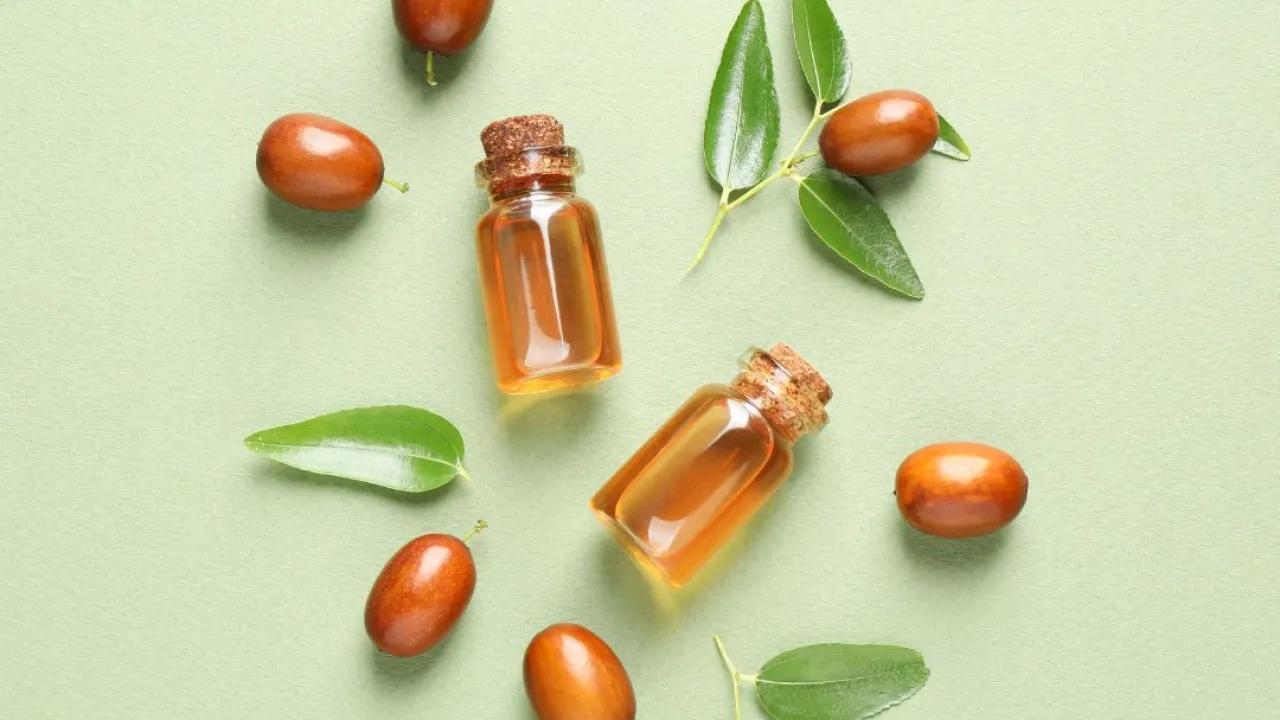 Huile de jojoba