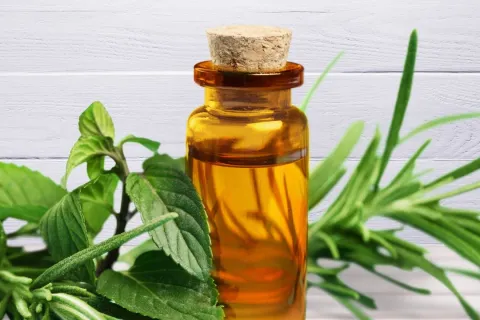 Huile essentielle de tea tree