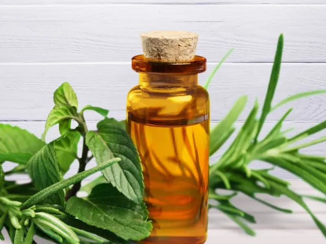 Huile essentielle de tea tree