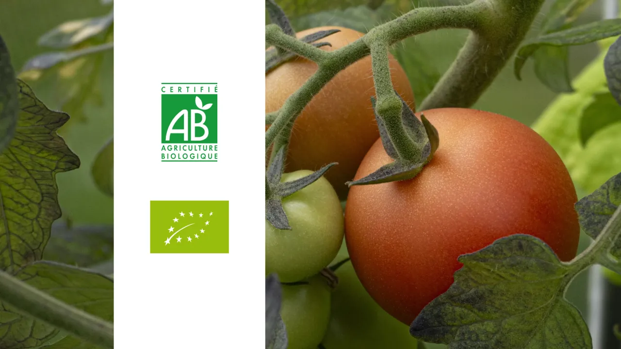 Label AB et bio : tout savoir sur la certification et ses engagements