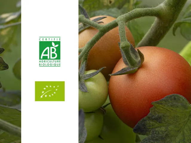 Label AB et bio : tout savoir sur la certification et ses engagements
